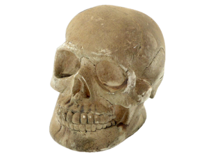 DEFI0319 Background Removed Small.png