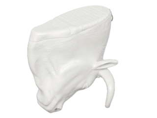 NIMO0617 Background Removed Small.png